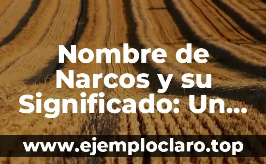 Nombre de Narcos y su Significado: Un Viaje al Mundo del Crimen Organizado