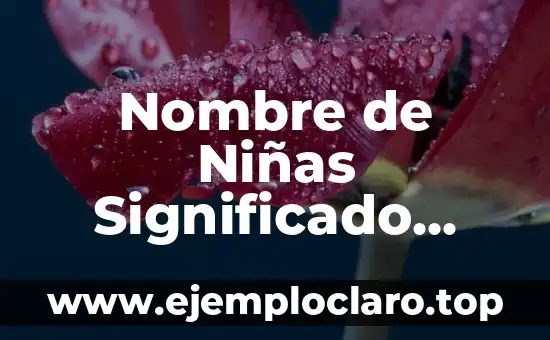 Significados de Nombres de Niñas Bíblicos 3 Nombre de Niñas Significado Dragón