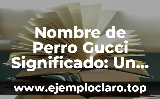 Nombre de Perro Gucci Significado: Un Nombre Elegante para Tu Mascota