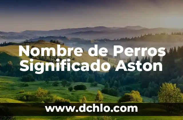 Nombre de Empresas sin Significado: El Poder de la Identidad Corporativa 7 Nombre de Perros Significado Aston
