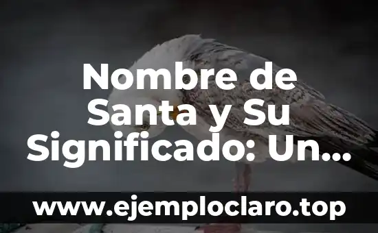 Nombre de Santa y Su Significado: Un Viaje a la Esencia de los Nombres Sagrados