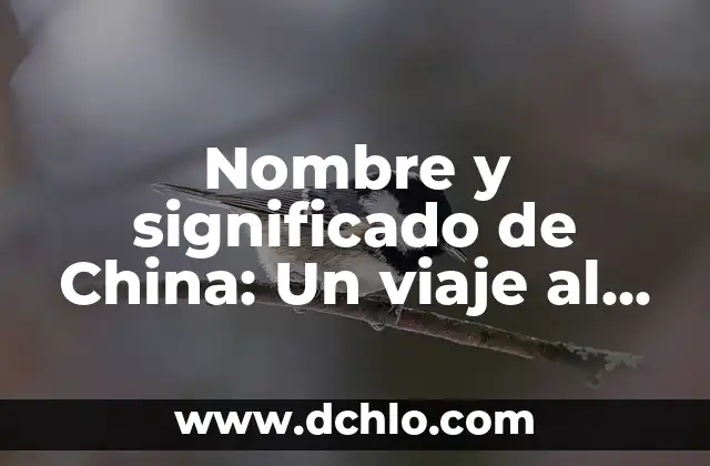 El Significado de la Suástica: Un Símbolo Milenario 7 Nombre y significado de China: Un viaje al origen de un país milenario