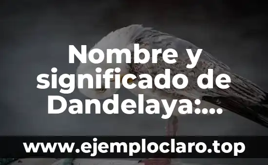 Nombre y significado de Dandelaya: Guía Completa