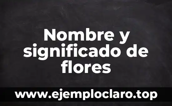 Nombre y significado de flores