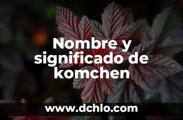 El Significado Espiritual de Soñar con Roedores 6 Nombre y significado de komchen