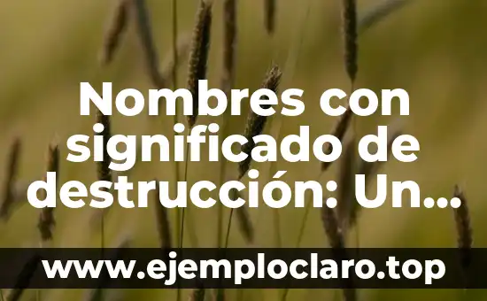 Nombres con significado de destrucción: Un viaje a través de la simbología del lenguaje