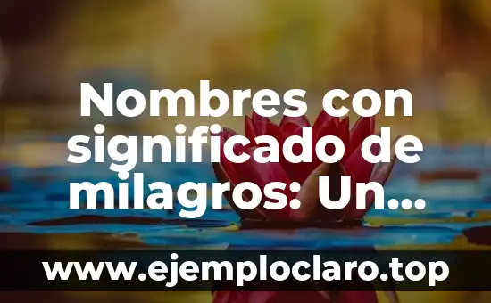 Milagros de Nuestra Señora: Un Misterio de Fe 5 Nombres con significado de milagros: Un enfoque espiritual y cultural