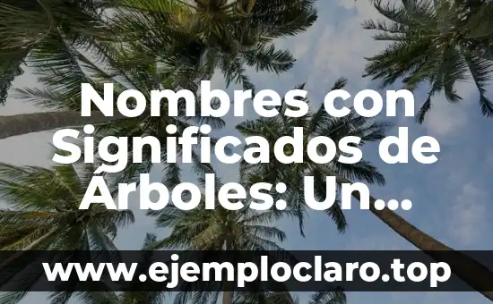 Nombres con Significados de Árboles: Un Viaje a la Naturaleza a Través de las Palabras