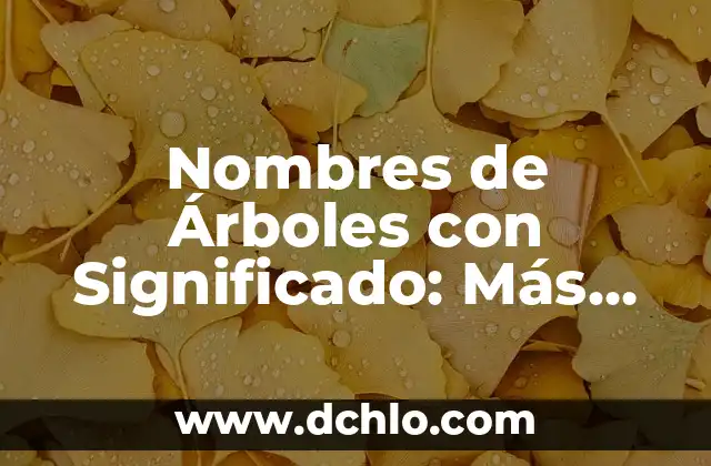 Significado en inglés de 'ciudad': Descubre su definición y origen 3 Nombres de Árboles con Significado: Más que solo Etiquetas