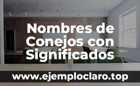 El Nombre de los Conejos: Un Viaje al Origen de su Significado 7 Nombres de Conejos con Significados