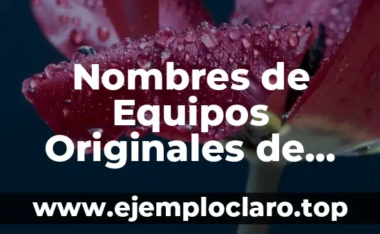 ¿Qué le puedo regalar a mi novio? Ideas originales y prácticas 4 Nombres de Equipos Originales de Fútbol: Descubre la Historia detrás de los Apodos
