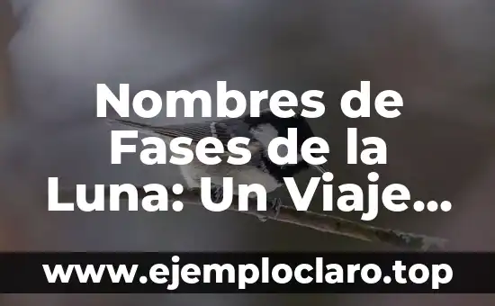 Nombres de Fases de la Luna: Un Viaje a través de la Luna