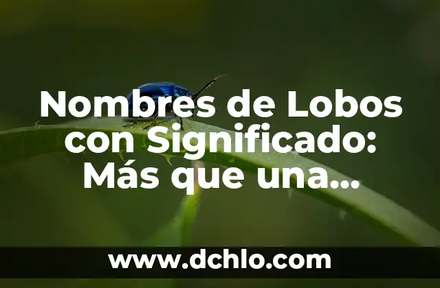 Nombres de Niña Significado Ximena 5 Nombres de Lobos con Significado: Más que una Simple Etiqueta