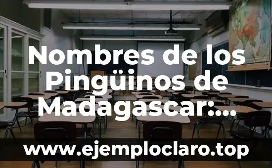 Nombres de los Pingüinos de Madagascar: Una Guía Completa