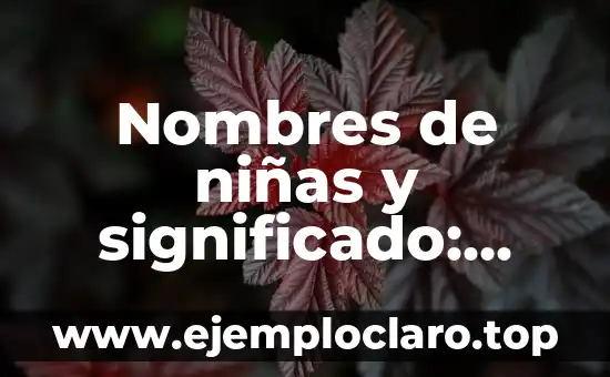Significados de Nombres de Niñas Bíblicos 5 Nombres de niñas y significado: Una guía completa