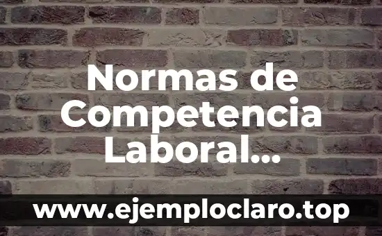 Normas de Competencia Laboral Significado: Conceptos Clave