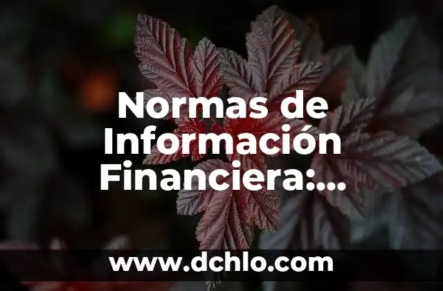 Nivel de Vida Adecuado: Significado y Conceptos Básicos 3 Normas de Información Financiera: Conceptos y Aplicaciones