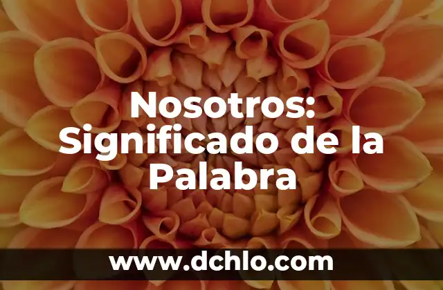 Novelas significado wikipediatipos de novelas 6 Nosotros: Significado de la Palabra
