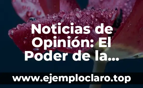 Noticias de Opinión: El Poder de la Perspectiva en los Medios