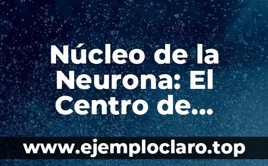 ¿Qué es el Núcleo de una Oración? Definición y Ejemplos 7 Núcleo de la Neurona: El Centro de Control Neuronal