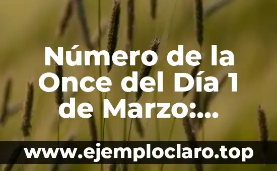 Número de la Once del Día 1 de Marzo: Descubre el Significado y la Importancia
