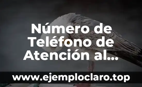 Número de Teléfono de Atención al Cliente Vodafone