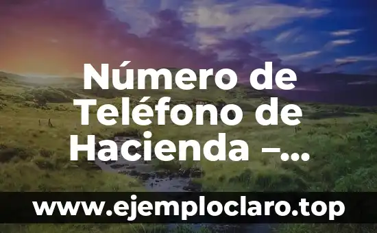 Hacienda Pública: Concepto y Funciones 6 Número de Teléfono de Hacienda – Información y Servicios de Atención al Contribuyente