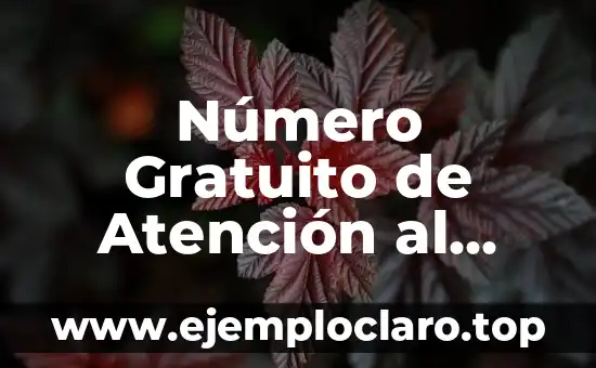 Número Gratuito de Atención al Cliente Vodafone: Guía Completa y Actualizada