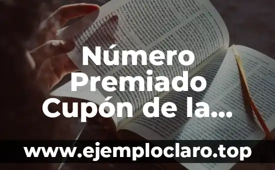 Número Premiado Cupón de la Once: Guía Completa y Actualizada