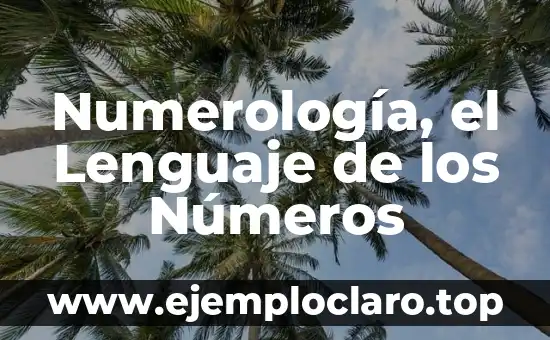 Numerología, el Lenguaje de los Números