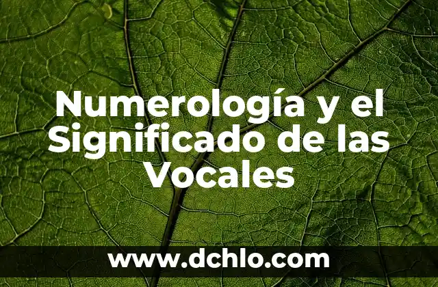 Significado de Muchos Número 1 en Numerología 6 Numerología y el Significado de las Vocales