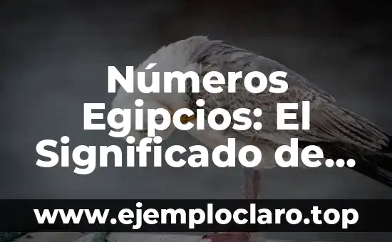 Números Egipcios: El Significado de sus Dibujos