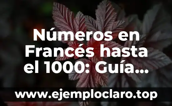 Nombre de Bebé Francés y su Significado 8 Números en Francés hasta el 1000: Guía Completa y Detallada