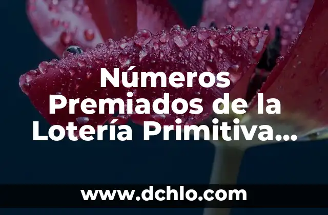 Buscar significado de acto forense: Descubre el concepto detrás del análisis forense 7 Números Premiados de la Lotería Primitiva del Jueves: Resultados y Análisis
