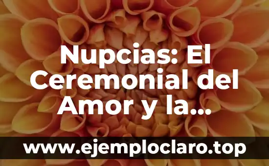 Nupcias: El Ceremonial del Amor y la Unión