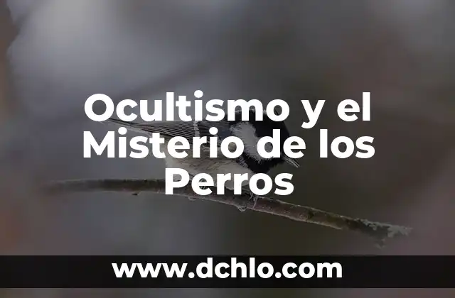 El Ocultismo: Un Viaje al Más Allá del Conocimiento 4 Ocultismo y el Misterio de los Perros
