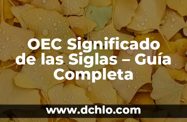 Embarazo Natural a los 47 Años es Posible: Guía Completa y Actualizada 7 OEC Significado de las Siglas – Guía Completa