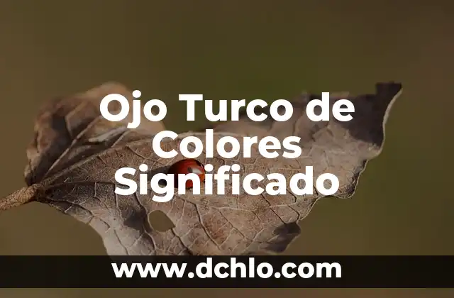 Significado en Inglés de Biscuit 3 Ojo Turco de Colores Significado