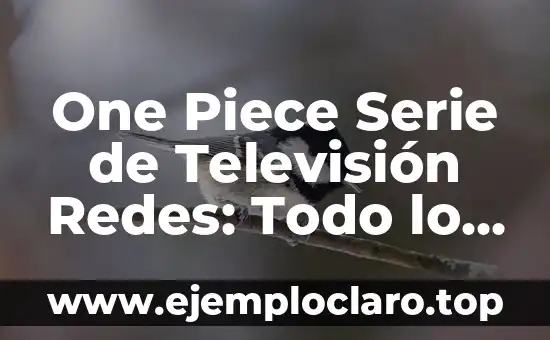 One Piece Serie de Televisión Redes: Todo lo que Necesitas Saber