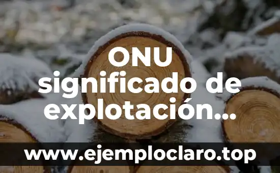 Instancia de Parte Laboral: Su Significado y Relevancia en el Ámbito Laboral 8 ONU significado de explotación laboral
