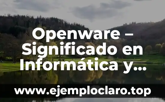 Nombre de Dominio Significado en Informática 6 Openware – Significado en Informática y Ejemplos