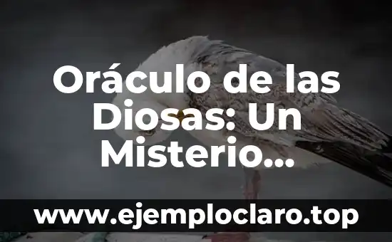 Oráculo de las Diosas: Un Misterio Antiguo
