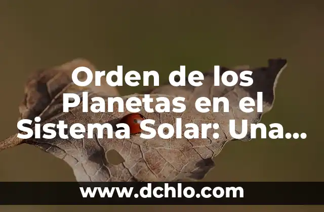 Orden de Robalo Burbuja Significado: Un Viaje por la Clasificación Biológica 5 Orden de los Planetas en el Sistema Solar: Una Guía Completa y Actualizada