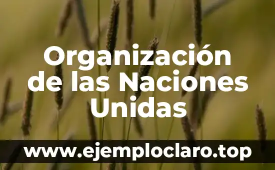 Organización de las Naciones Unidas