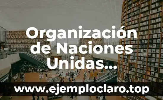 Organización de Naciones Unidas Significado