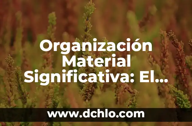Evaluación Significativa de Jere Brophy 7 Organización Material Significativa: El Arte de Estructurar Materiales