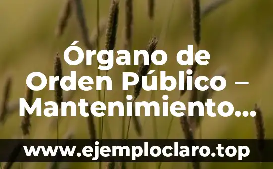 Órgano de Orden Público – Mantenimiento de la Seguridad Ciudadana