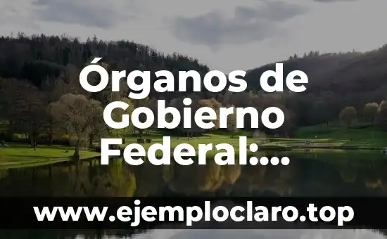 Bastiones: Estructuras defensivas en la historia militar 6 Órganos de Gobierno Federal: Estructuras Esenciales de la Administración
