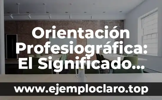Orientación Profesiográfica: El Significado del Interés en la Carrera Profesional