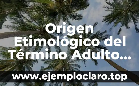 Origen Etimológico del Término Adulto Mayor